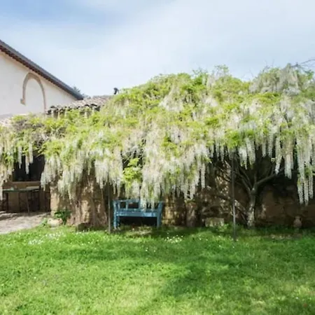 Charming Maremma * Farnese